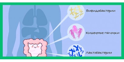 Иммунитет и кишечная микрофлора: где связь?